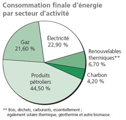 Consommation finale d’énergie par secteur d’activité