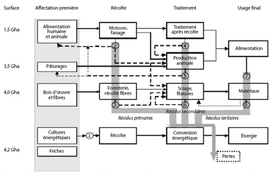 Vue d’ensemble des synergies et conflits d’usage entre les différentes filières de biomasse et les surfaces terrestres disponibles